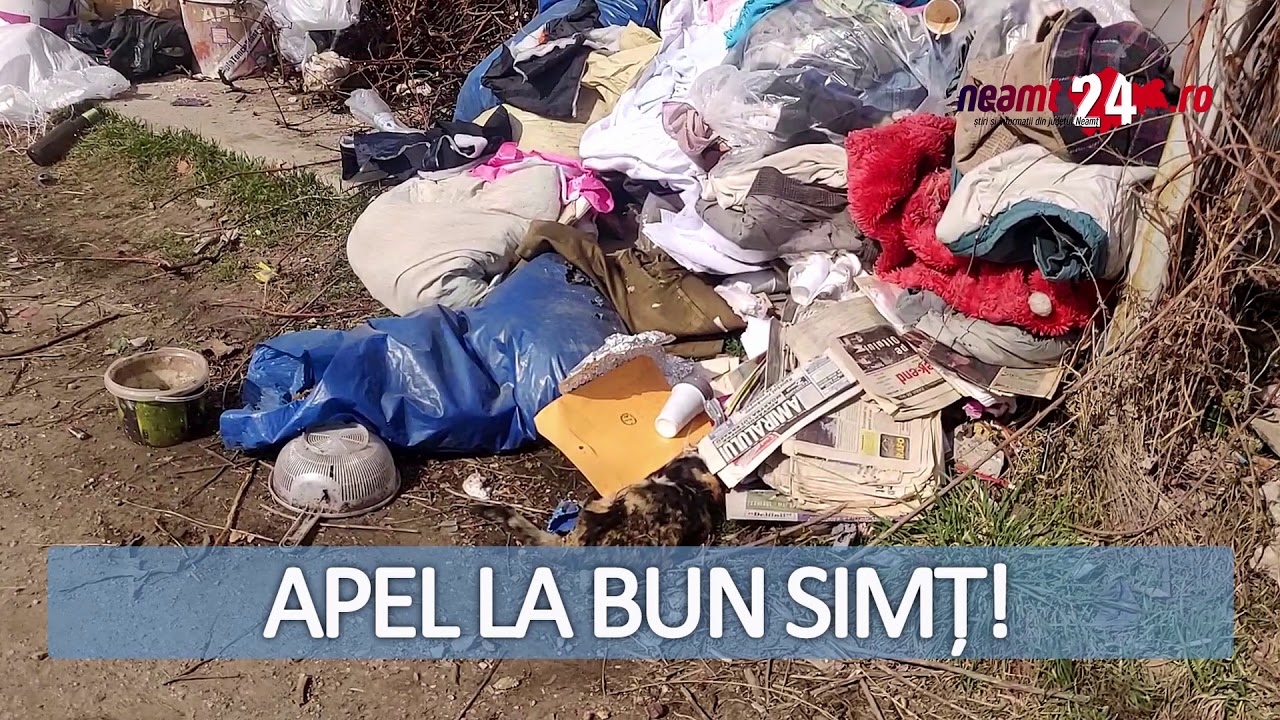 (POZA zilei) Mormane de gunoaie pe o stradă din Târgu Neamț